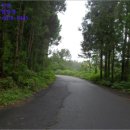 색달동-2 이미지