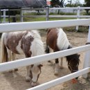 침산ing유치원 이미지