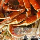 러시아대게타운 주차장 앞 도로 | 삼척 대게 맛집 찾는다면? 블루리본 인증 &#39;삼척보스대게 본점&#39; 다녀왔어요.