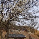 규암 부산서원 이미지