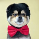 산호동457 이미지