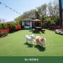 핑스애견펜션