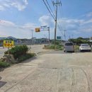 송지호막국수