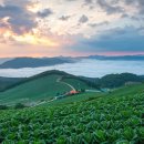 기학목장 이미지