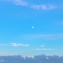 월정포인트 이미지