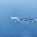 바늘과실 이미지