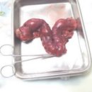 애경동물병원 이미지