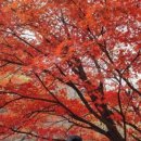 수리산갈비 이미지