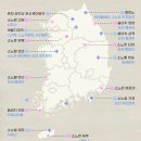 서비스월드(강원지점) 이미지