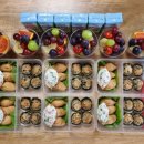 푸른솔목장 | ep.2 짙틈(zitteum) 웨딩스냅 촬영