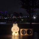 세븐일레븐 자양한강점 | 뚝섬 텐트 대여 한강 피크닉 더텐트 뚝섬점