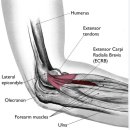 첨단제일의원 이미지