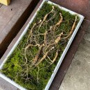 씨돌농장 이미지