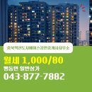 혁신스타공인중개사사무소 | 충북혁신도시에이스공인중개사사무소 일반상가 월세 맹동면 1,000/80