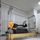 엔젤동물병원 | 다사필라테스,임산부필라테스 센터 찾고계시다면 엔젤 필라테스 다사점 꼭 방문해보세요!