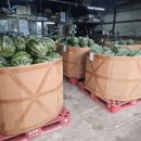 학성상회 이미지