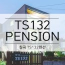 TS-132 네이버블로그