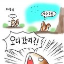 다람쥐가 이미지