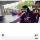 주식회사 게임플러스어뮤즈먼트 | ☔️ 도쿄 [디즈니랜드]✨ 비 오는 날 어트렉션 8개 타고 불꽃놀이까지 즐긴 후기 !🎆