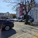 나무식당 이미지