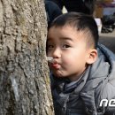 미산1리고로쇠마을 이미지