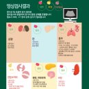 더 포레 동물병원 이미지