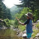 청산농원 이미지