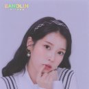 반올림피자샵 이미지