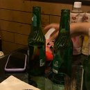 테라파시 이미지