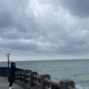 제주도 게스트하우스 스텝후기🌴