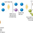 힉스 이미지