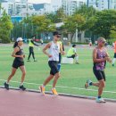 아르피아 이미지