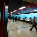 커머셜 디스플레이 이미지