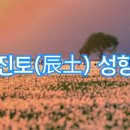 진토목 이미지