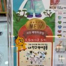 그림은내친구 | 내친구역사공룡 : 6살 유아역사전집 솔직후기, 대구 마술피리 어린이서점에서 구매