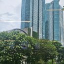 꾸아 서울숲점