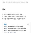 '윤슬' 만큼 예쁜 순우리말 단어 '볕뉘' 이미지