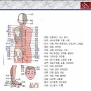 이현교 Daum카페