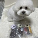 멍메이드 이미지