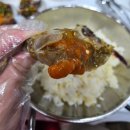 원조꽃게장 | 여수여행 맛집 리뷰 – 원조 두꺼비게장 모둠꽃게장 정식 후기 🦀