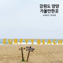 강원도 양양 아이와 가볼만한곳 양양 서피비치 하조대 해수욕장
