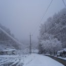눈보다더 Daum카페