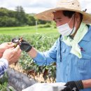 3원-天,地,人 이미지