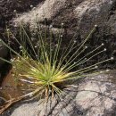 곡정초등학교 이미지