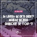 ▣ 눈 내리는 날 여기 어때? 세종시 설경이 아름다운 곳 TOP 7(펌) 이미지