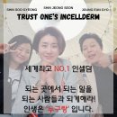 명동 인셀덤 이미지