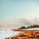 이안스주식회사 이미지