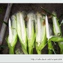 한솔이네농장 이미지