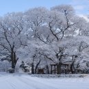 주목정원 이미지