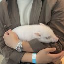 시형농장 이미지